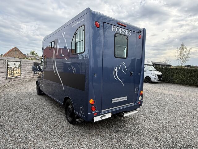 Prevoz konj Renault Master | HORSETRUCK | THEAULT | PRO SAFETY 5 | ...