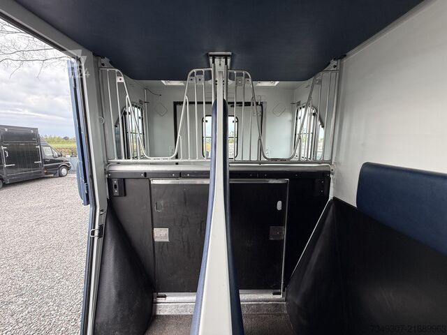 Paarden transport Renault Master | HORSETRUCK | THEAULT | PRO SAFETY 5 | ...