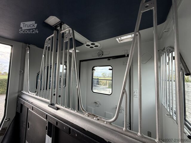 Paarden transport Renault Master | HORSETRUCK | THEAULT | PRO SAFETY 5 | ...