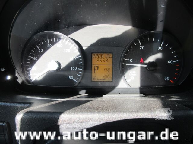 νεκροφόρα Mercedes-Benz 313 CDI Leichenwagen Bestattungswagen
