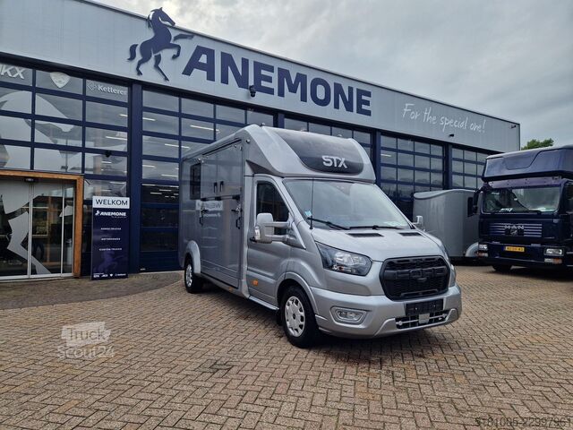 Ford Transit STX Automat Haras S3, id:32 Ford Transit STX Automaat hengsten uitvoering paarde...