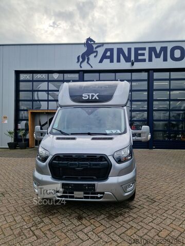 Ford Transit STX Automat Haras S3, id:32 Ford Transit STX Automaat hengsten uitvoering paarde...