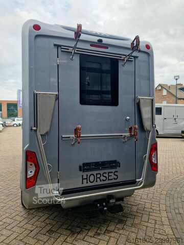 Ford Transit STX Automat Haras S3, id:32 Ford Transit STX Automaat hengsten uitvoering paarde...