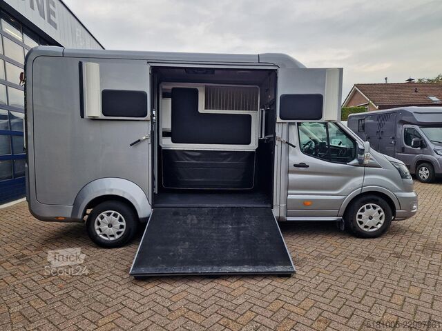 Ford Transit STX Automat Haras S3, id:32 Ford Transit STX Automaat hengsten uitvoering paarde...