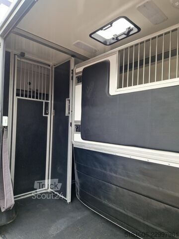 Ford Transit STX Automat Haras S3, id:32 Ford Transit STX Automaat hengsten uitvoering paarde...