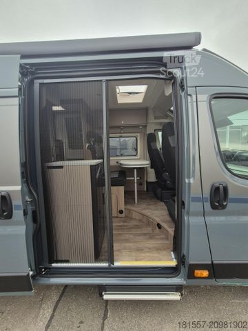 Autocamper CARADO pro+ CV 640 Sonderpreis / Automatik / Isofix
