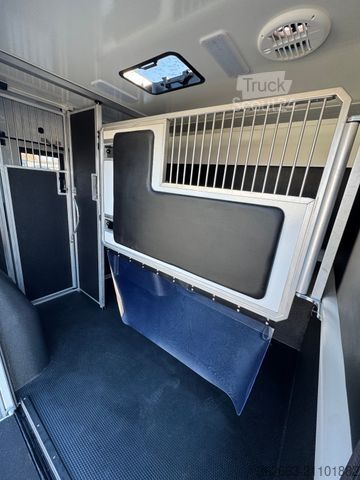 Veetransporter RENAULT Master ZF 9-GANG AUTOM. 2025er STX 5-Haras LONG