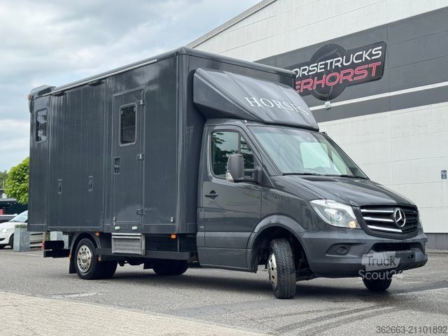 Kvægetransportør MERCEDES-BENZ Sprinter 3L V6,2-Pferdetransporter m.kl. Wohnung
