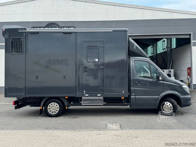 Kvægetransportør MERCEDES-BENZ Sprinter 3L V6,2-Pferdetransporter m.kl. Wohnung