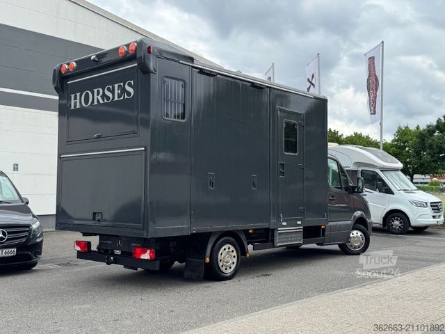 Kvægetransportør MERCEDES-BENZ Sprinter 3L V6,2-Pferdetransporter m.kl. Wohnung
