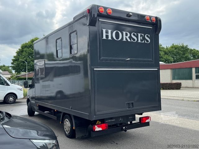 Kvægetransportør MERCEDES-BENZ Sprinter 3L V6,2-Pferdetransporter m.kl. Wohnung