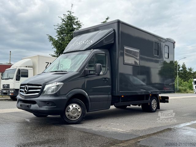 Kvægetransportør MERCEDES-BENZ Sprinter 3L V6,2-Pferdetransporter m.kl. Wohnung