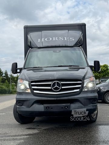 Kvægetransportør MERCEDES-BENZ Sprinter 3L V6,2-Pferdetransporter m.kl. Wohnung