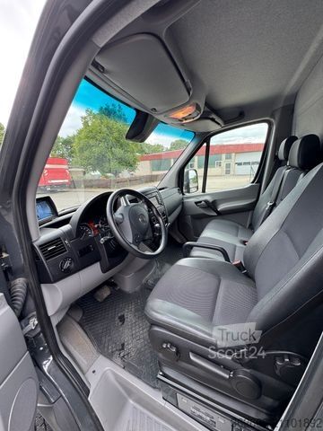 Kvægetransportør MERCEDES-BENZ Sprinter 3L V6,2-Pferdetransporter m.kl. Wohnung