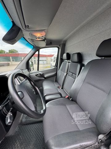 Kvægetransportør MERCEDES-BENZ Sprinter 3L V6,2-Pferdetransporter m.kl. Wohnung