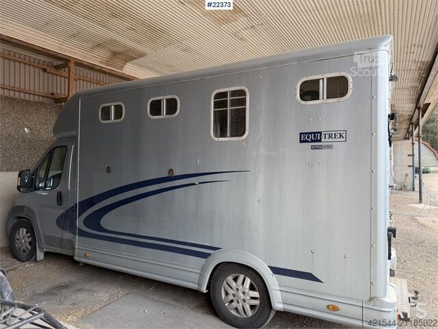 Livestock transport Peugeot Equi-Trek 4x2 horse truck with space for 2 horses
