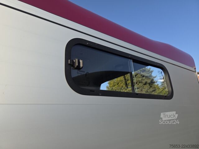 At taşıma römorku Cheval Liberté Touring Country 2,6t berry Sattelschrank