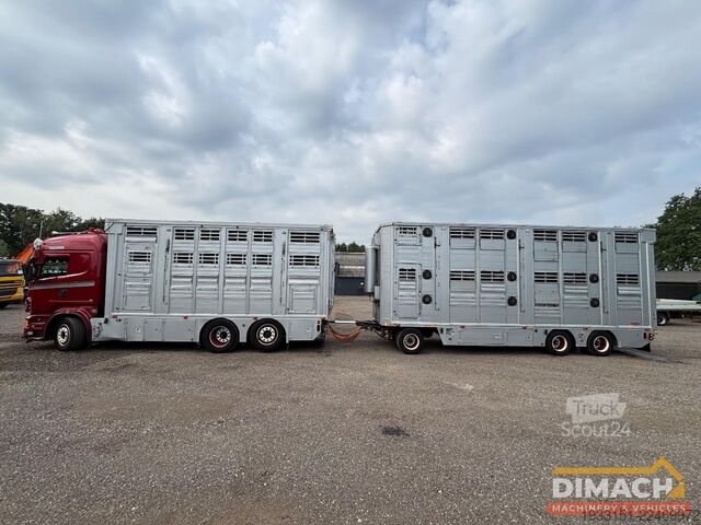 Transport de bétail Scania R500 6X2 V8 - vol lucht - 6x2*4 veewagen - 3 vl...