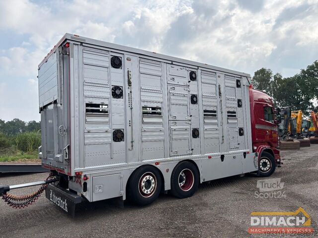Transport de bétail Scania R500 6X2 V8 - vol lucht - 6x2*4 veewagen - 3 vl...