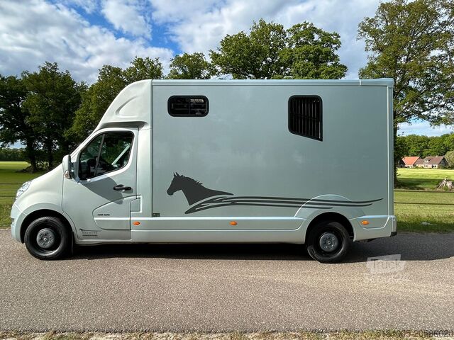 Transporte de caballos Renault Master Occasion MTM Renault Master automaat paa...
