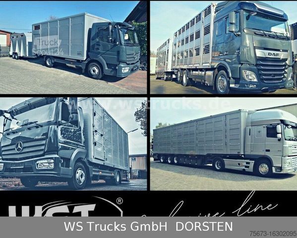 Remolque de transporte de caballos Finkl 2 Stock Doppelstock Viehanhänger