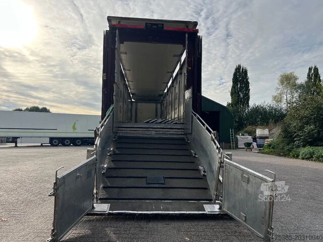 Veetransport CUPPERS Livestock 1/2/3/4 Type 2