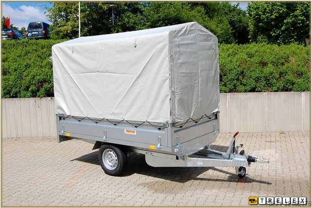 Přívěs za auto Neptun Nordica N13-263 GN131