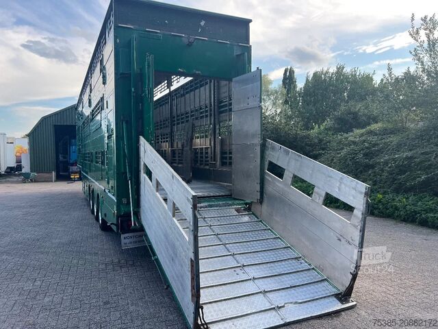 Cattle transport Pezzaioli Livestock 1/2/3 stock Type 2