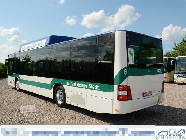 Mestni avtobus MAN A21 / 310 PS / CNG / Fahrer Klima / EEV