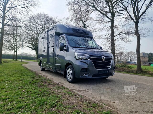 Кінний транспорт Renault Master STX S3 automaat paardenwagen Pro-Safety ...