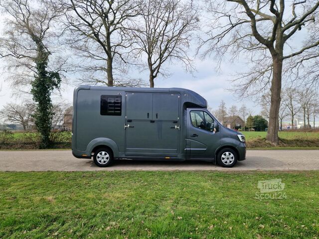 Кінний транспорт Renault Master STX S3 automaat paardenwagen Pro-Safety ...