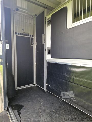 Кінний транспорт Renault Master STX S3 automaat paardenwagen Pro-Safety ...