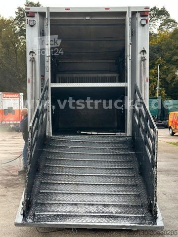 Viehtransporter LKW DAF XF 530 4x2 Finkl 2.Stock Viehaufbau