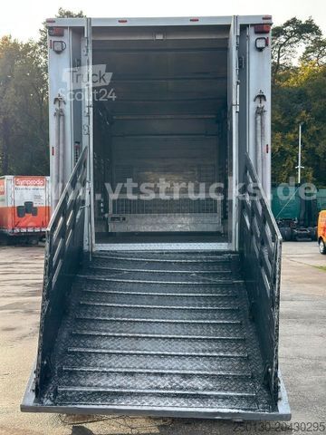 Viehtransporter LKW DAF XF 530 4x2 Finkl 2.Stock Viehaufbau