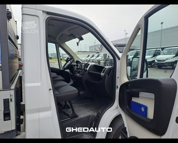 Minibus FIAT DUCATO CASSONE