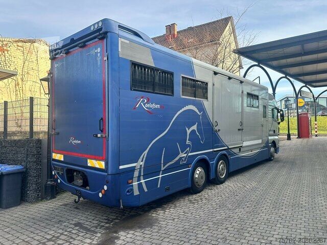 Viehtransporter LKW MAN TGX 26400 Roelofsen 12 Pferde
