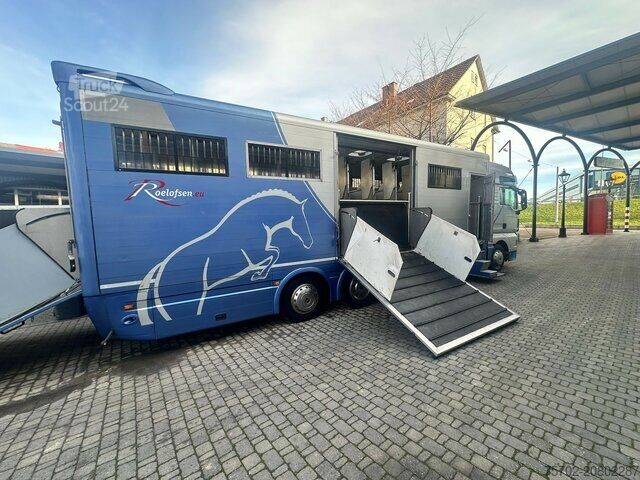 Viehtransporter LKW MAN TGX 26400 Roelofsen 12 Pferde