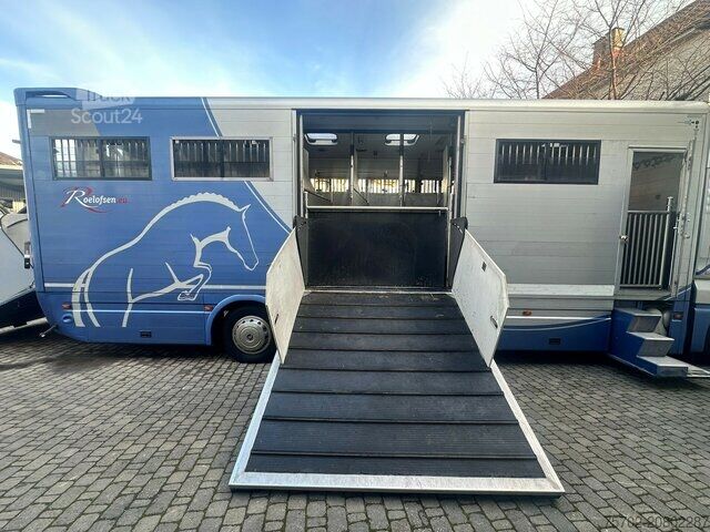 Viehtransporter LKW MAN TGX 26400 Roelofsen 12 Pferde