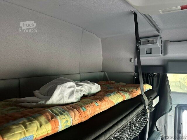 Viehtransporter LKW MAN TGX 26400 Roelofsen 12 Pferde