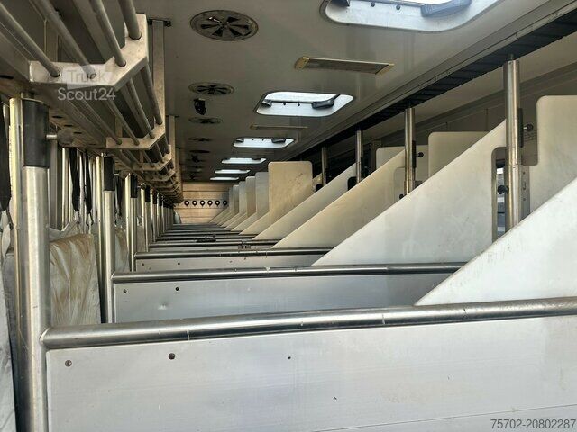 Viehtransporter LKW MAN TGX 26400 Roelofsen 12 Pferde