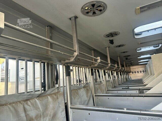 Viehtransporter LKW MAN TGX 26400 Roelofsen 12 Pferde