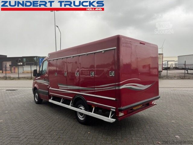Koelwagen Mercedes-Benz SPRINTER 313 VRIESWAGEN