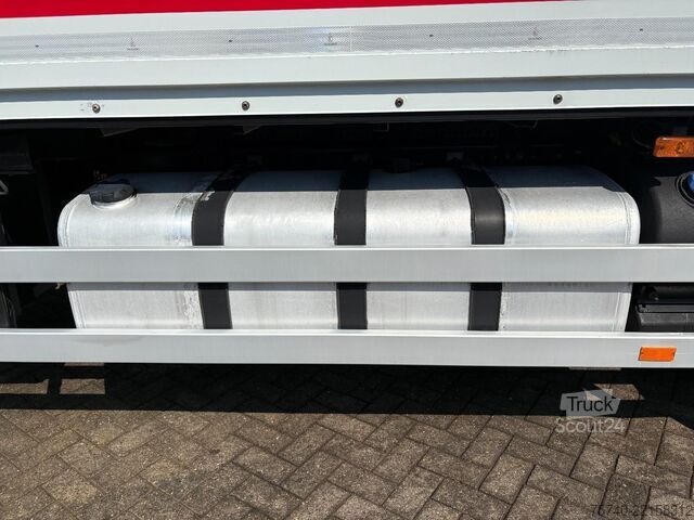 Kufr Renault Premium + DHOLLANDIA LOADLIFT + SMART TACHO + E...