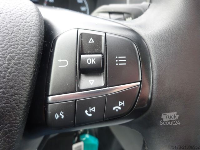 Pick-up varevogn FORD Transit DK Pritsche 350 L3 Trend 130PS AHK