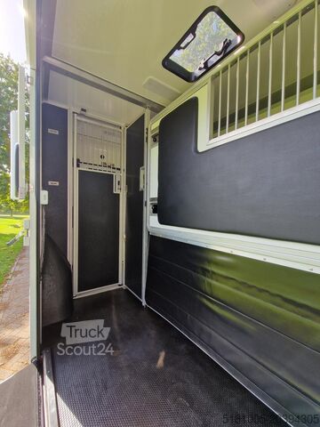 Transport de chevaux Renault Master Demo Anemone paardenwagen voor 2 paarden...