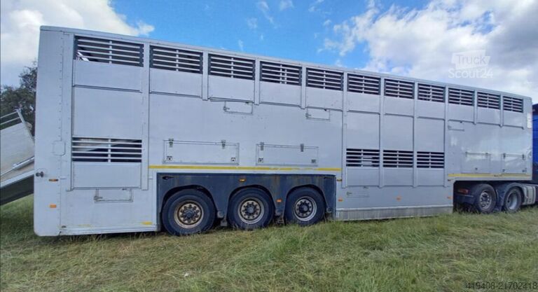 Viehtransport Gray & Adams GADD3 / WORKS GREAT / HYDRAULIC / 2 LEVELS