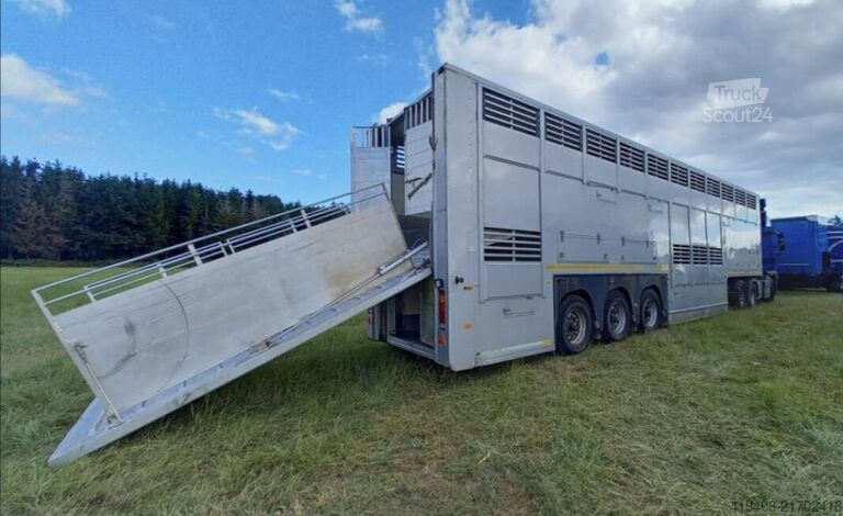 Viehtransport Gray & Adams GADD3 / WORKS GREAT / HYDRAULIC / 2 LEVELS