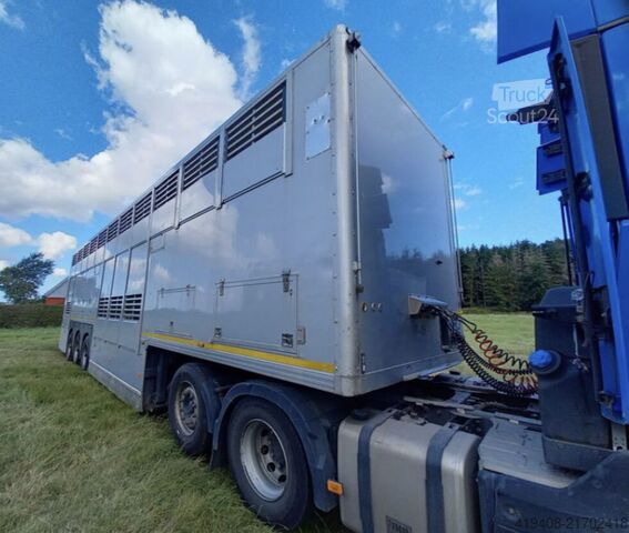 Viehtransport Gray & Adams GADD3 / WORKS GREAT / HYDRAULIC / 2 LEVELS