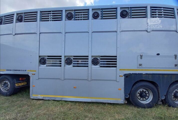 Viehtransport Gray & Adams GADD3 / WORKS GREAT / HYDRAULIC / 2 LEVELS