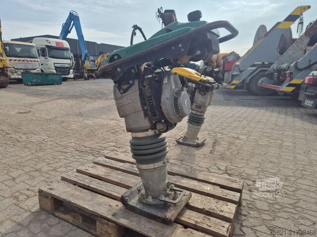 Compactor WACKER NEUSON BS70-2 11in